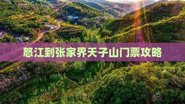 怒江到张家界天子山门票