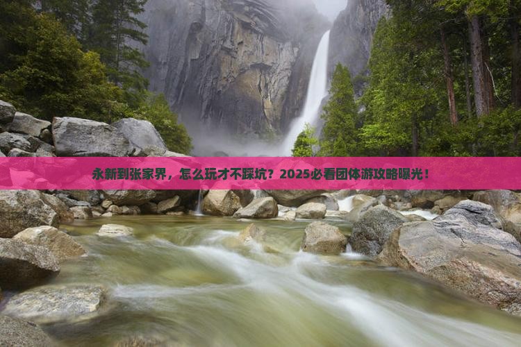 永新到张家界团体旅游