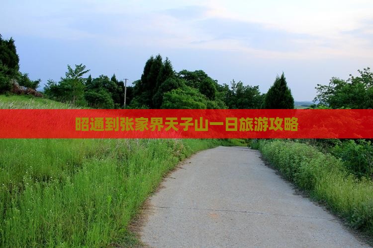 昭通到张家界天子山一日