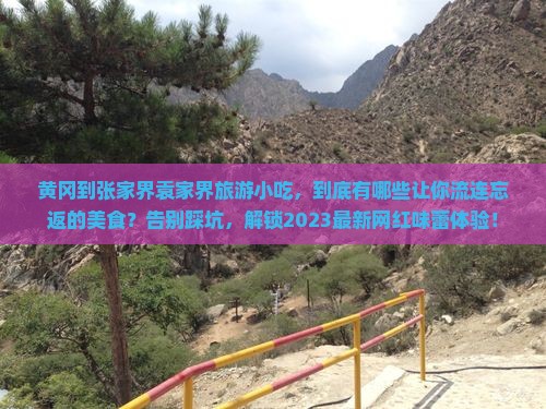 黄冈到张家界袁家界旅游小吃