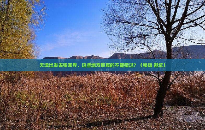 天津到张家界必去地