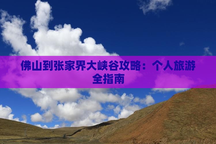 佛山到张家界大峡谷个人游