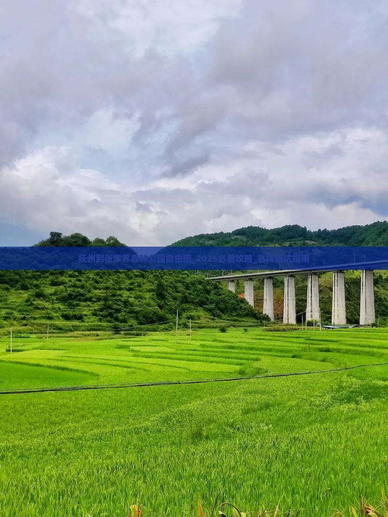 抚州到张家界森林公园自由团