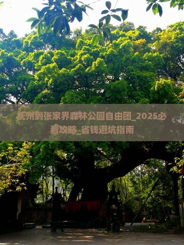 抚州到张家界森林公园自由团
