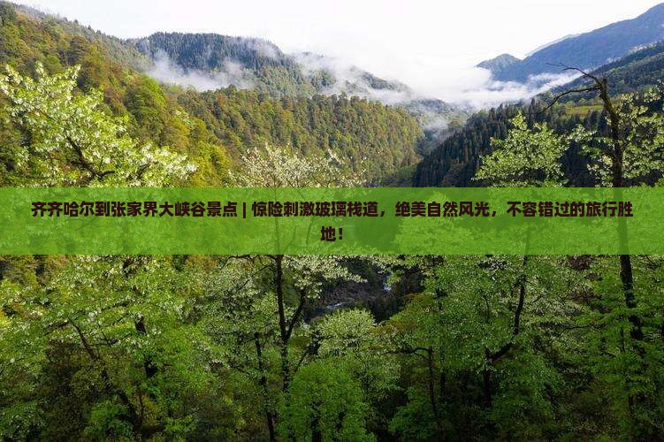 齐齐哈尔到张家界大峡谷景点
