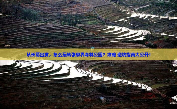 长葛到张家界森林公园景点
