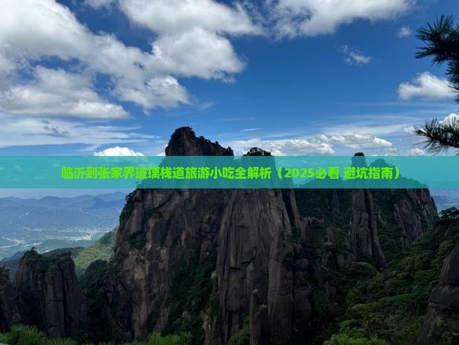 临沂到张家界玻璃栈道旅游小吃