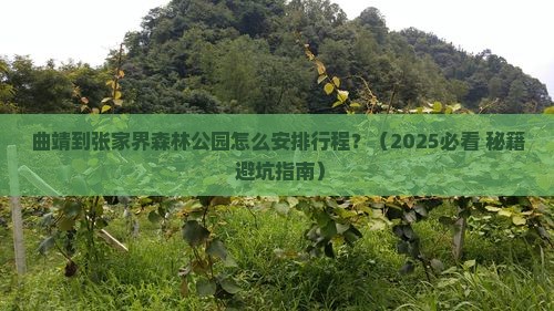 曲靖到张家界森林公园攻略