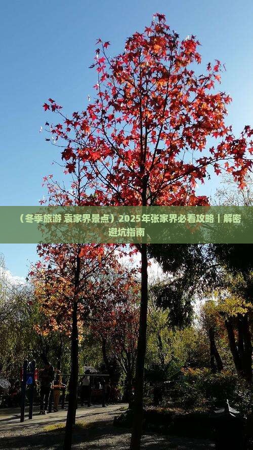 冬天到张家界袁家界必去地