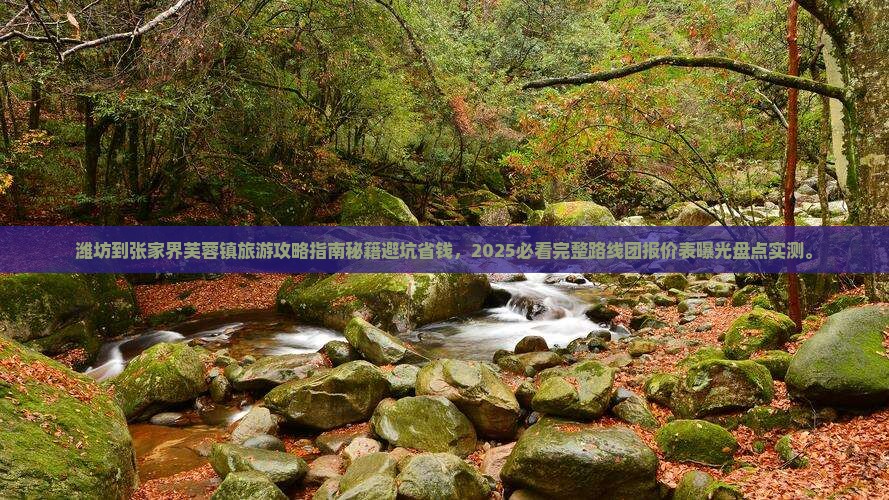 潍坊到张家界芙蓉镇旅游 潍坊到张家界芙蓉镇旅游