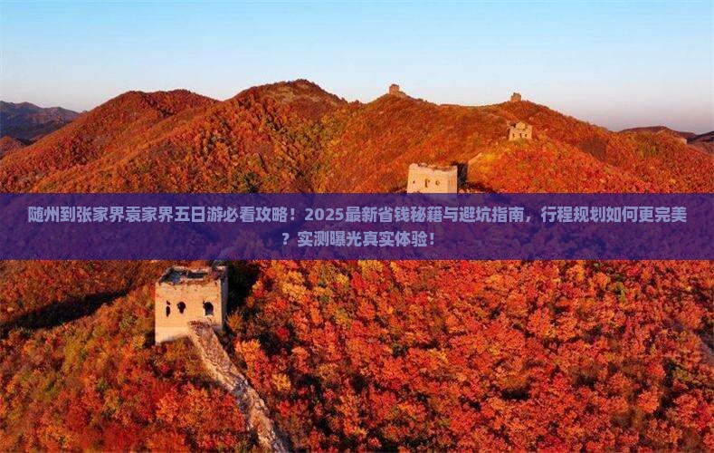 随州到张家界袁家界五日游