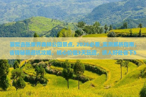 襄樊去张家界森林公园景点