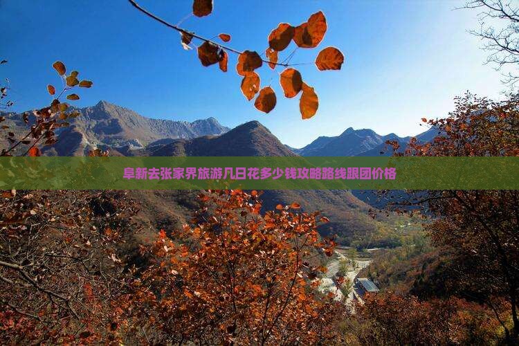 阜新去张家界旅游
