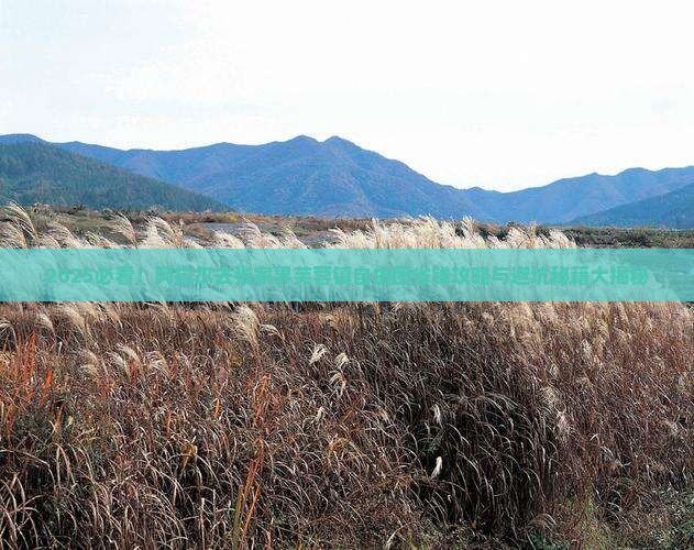 阿拉尔去张家界芙蓉镇自由团 阿拉尔去张家界芙蓉镇自由团