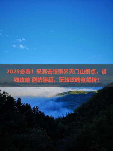 来宾去张家界天门山景点