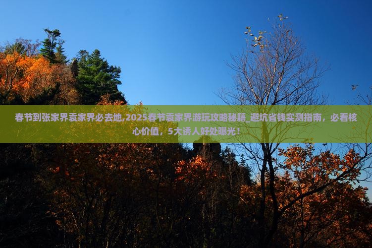 春节到张家界袁家界必去地