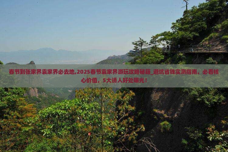 春节到张家界袁家界必去地