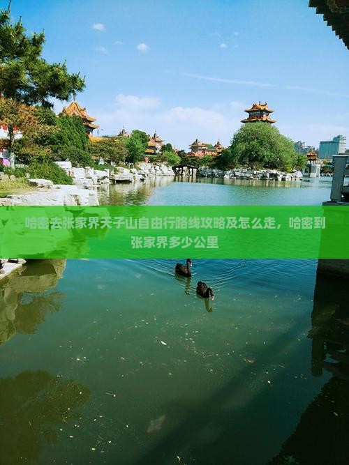 哈密去张家界天子山自由行