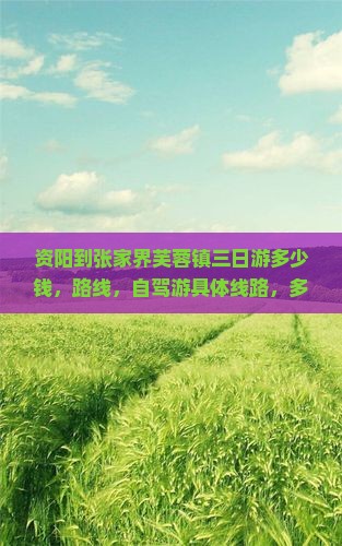 资阳到张家界芙蓉镇三日游