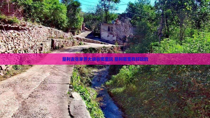 垦利去张家界大峡谷哪里玩