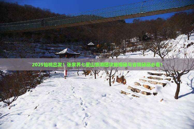 仙桃到张家界七星山大型旅游团