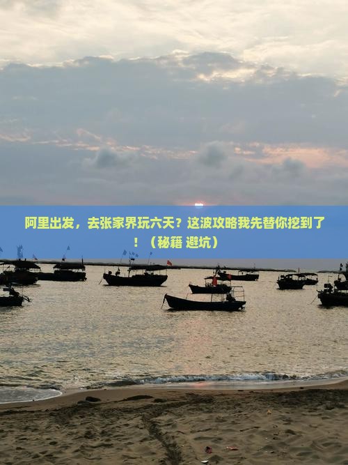 阿里到张家界森林公园六日游