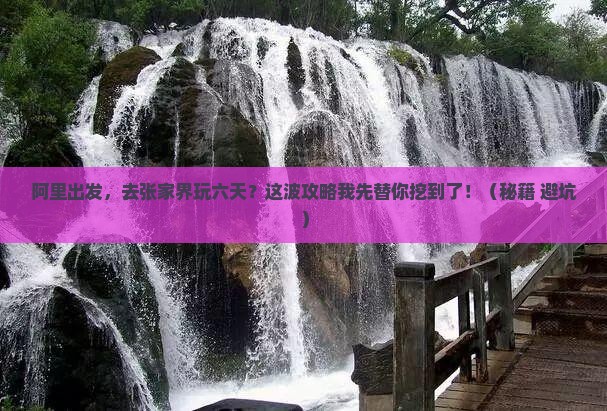 阿里到张家界森林公园六日游