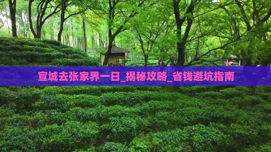 宣城去张家界一日