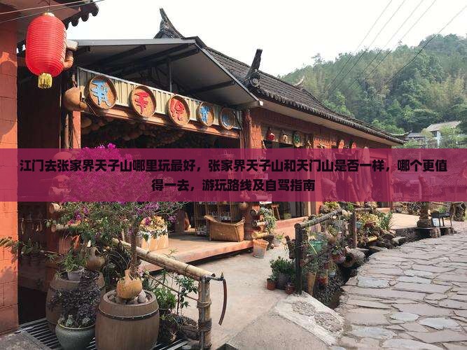 江门去张家界天子山哪里玩