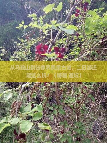 马鞍山到张家界凤凰古城二日游