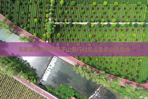 五家渠去张家界天子山旅行社