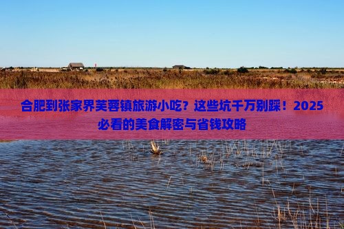 合肥到张家界芙蓉镇旅游小吃