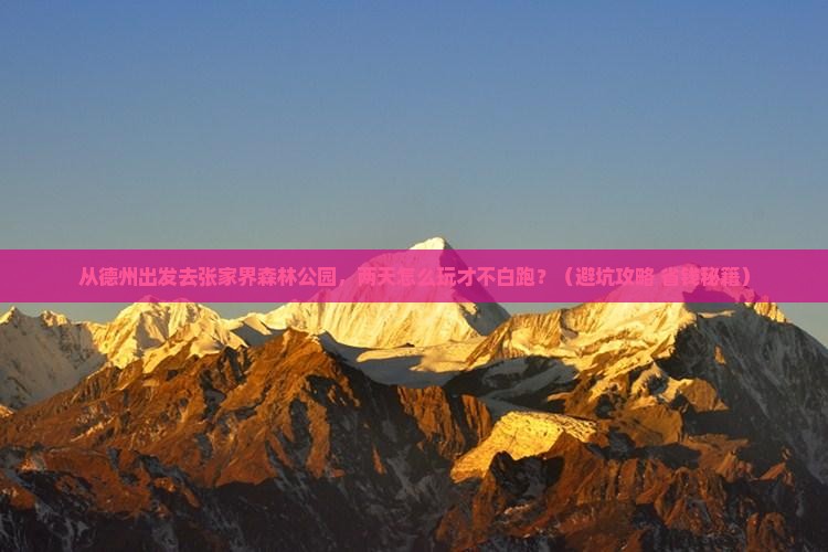 德州去张家界森林公园二日游