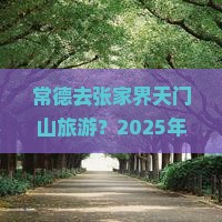 常德去张家界天门山旅游
