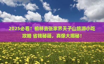 榆林去张家界天子山旅游小吃
