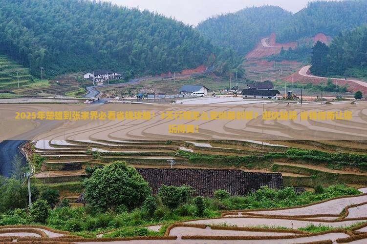 楚雄到张家界攻略