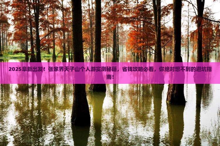 阜新到张家界天子山个人游