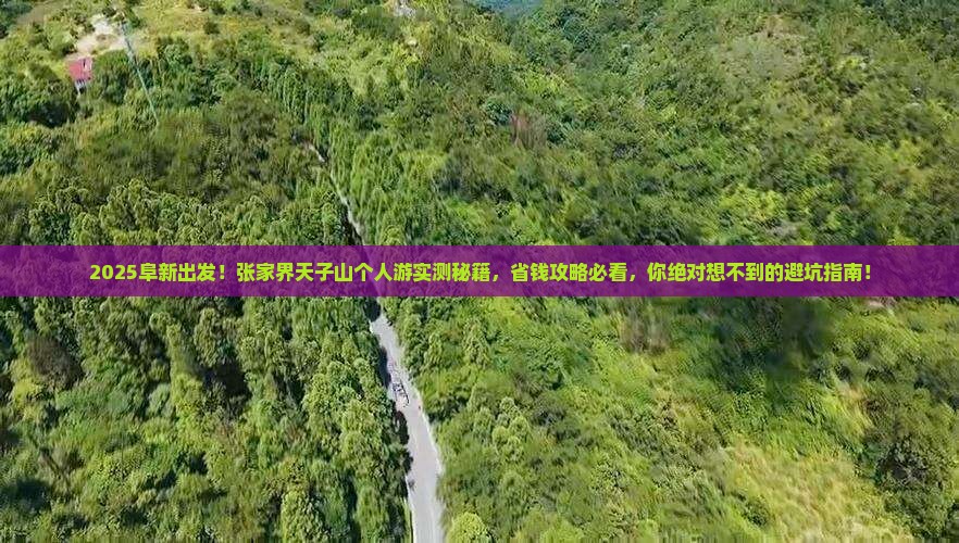 阜新到张家界天子山个人游