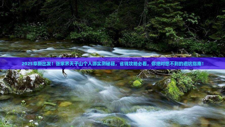 阜新到张家界天子山个人游