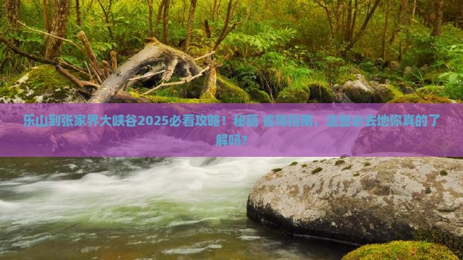 乐山到张家界大峡谷必去地
