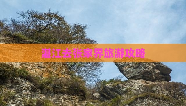湛江去张家界森林公园团体旅游