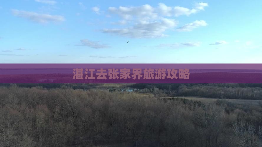 湛江去张家界森林公园团体旅游