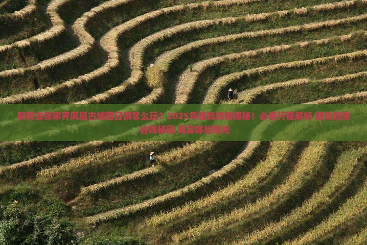 鹤岗去张家界凤凰古城四日游