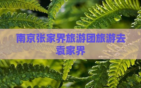 南京去张家界袁家界大型旅游团