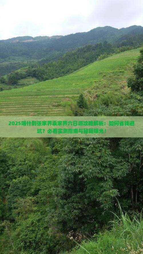 喀什到张家界袁家界六日游