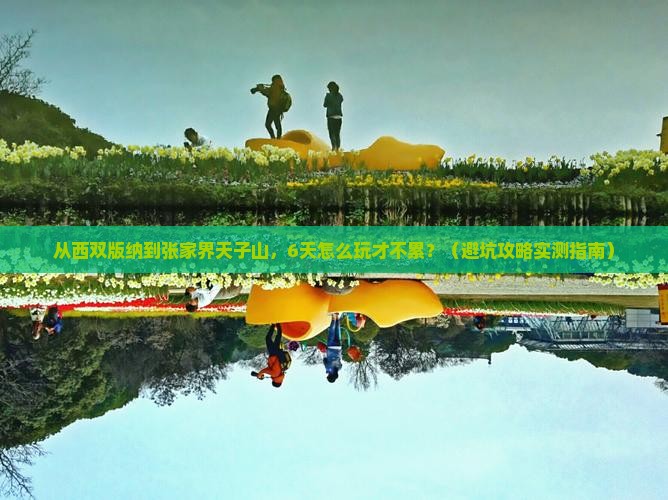 西双版纳去张家界天子山六日游