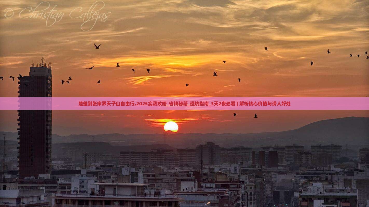 楚雄到张家界天子山自由行