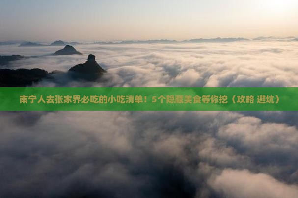 南宁去张家界旅游小吃