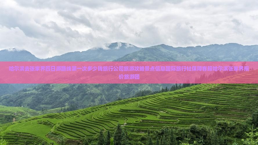 哈尔滨去张家界四日游