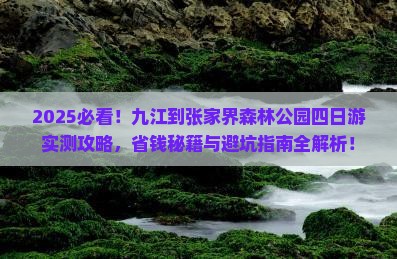 九江到张家界森林公园四日游